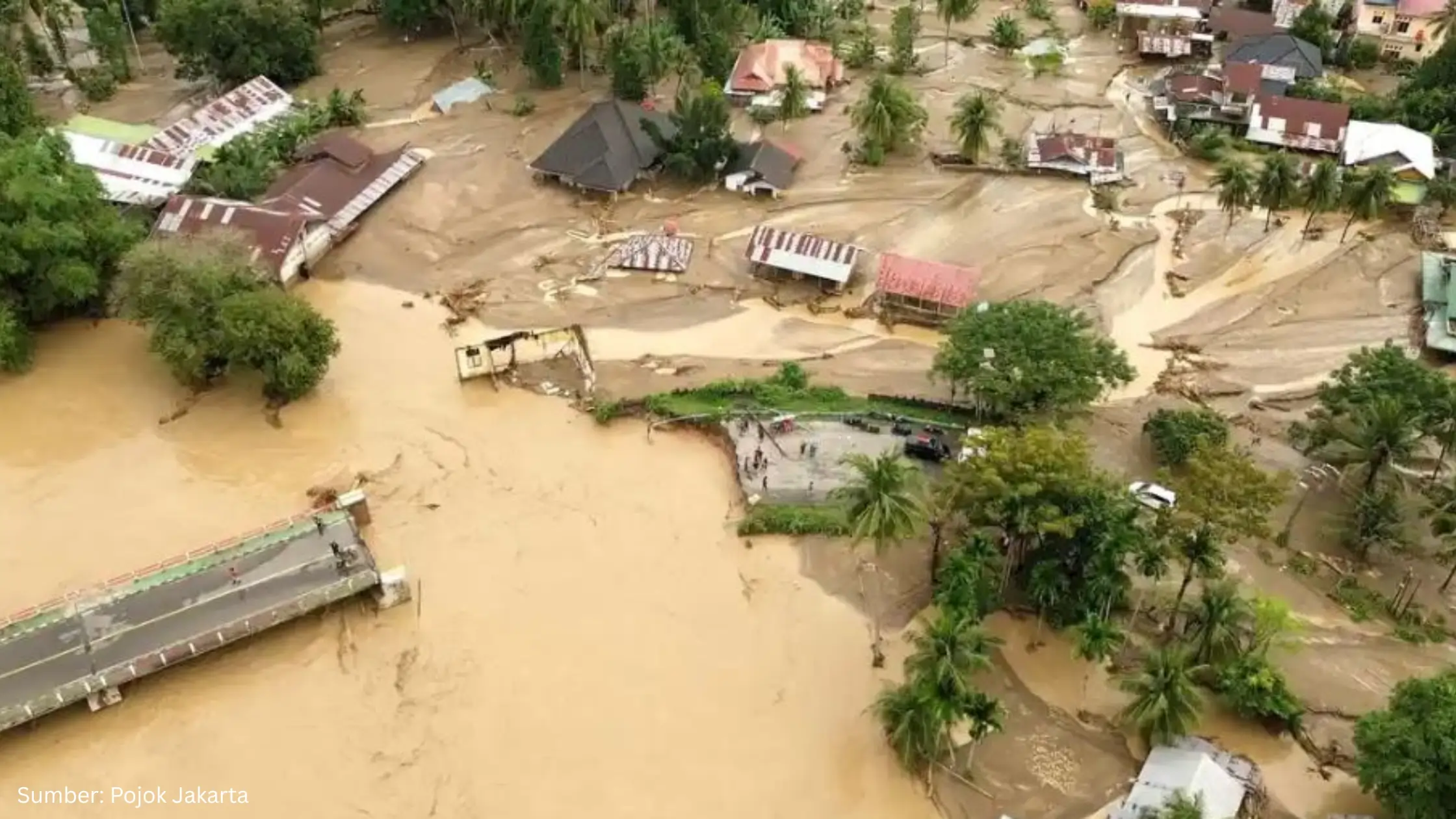 Banjir Musiman 2026 dan Isu Sawit di Kawasan Hutan: Dampak Lingkungan di Indonesia