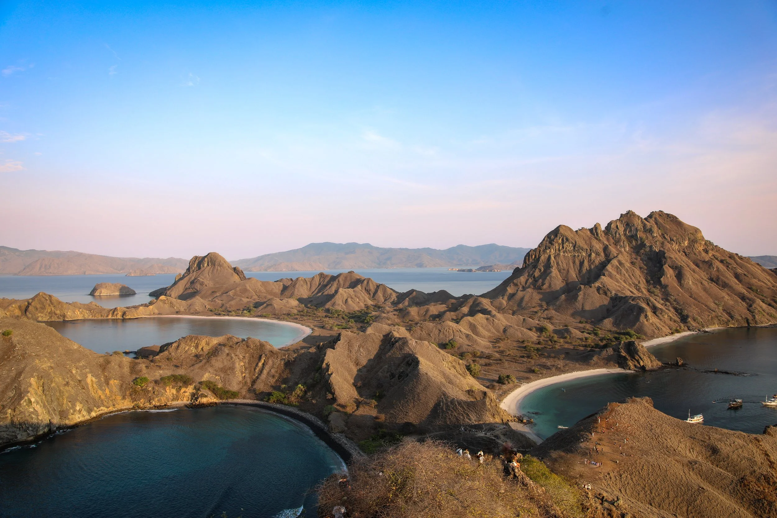 Wisata Pulau Komodo 2026: Panduan Lengkap Menjelajahi Habitat Komodo dan Pantai Pink